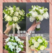 什么花寓意欺骗别人的爱？揭秘最具欺骗性的花卉象征