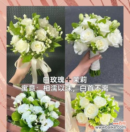 什么花寓意欺骗别人的爱?揭秘最具欺骗性的花卉象征