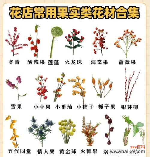 常见花材的象征寓意是什么?如何根据场合选择合适的花卉?