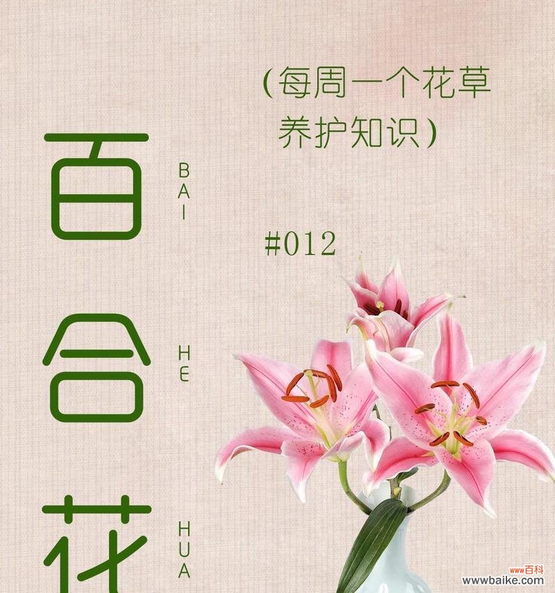 常见花材的象征寓意是什么?如何根据场合选择合适的花卉?