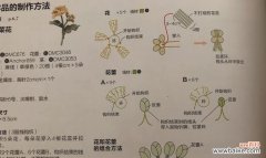 簪子上花的寓意是什么？如何挑选寓意吉祥的簪花？