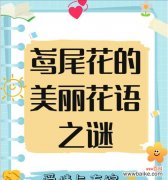 有结果的花象征着什么？花语背后的深层含义是什么？