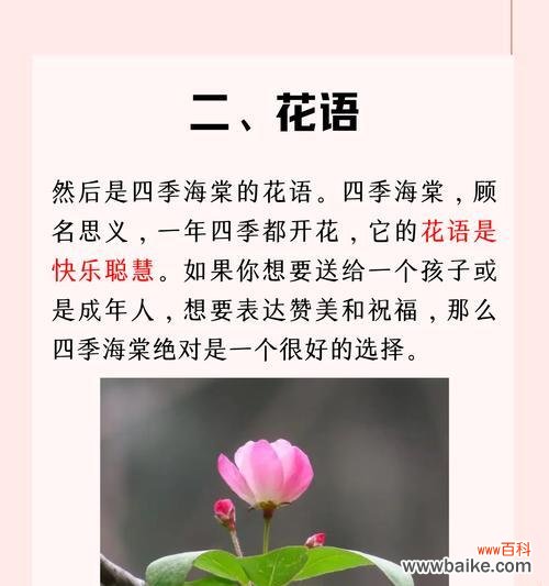 六朵花代表什么意义?送六朵花的象征含义是什么?