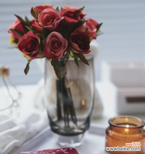 盛宴的花语是什么？如何用花语表达宴会的喜悦？