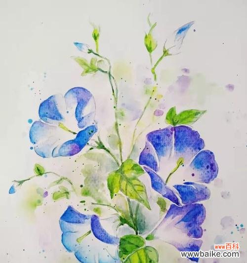 肩上纹花代表什么含义?纹花图案的象征意义解析?