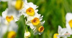 探索自然中的温暖力量 平凡之美