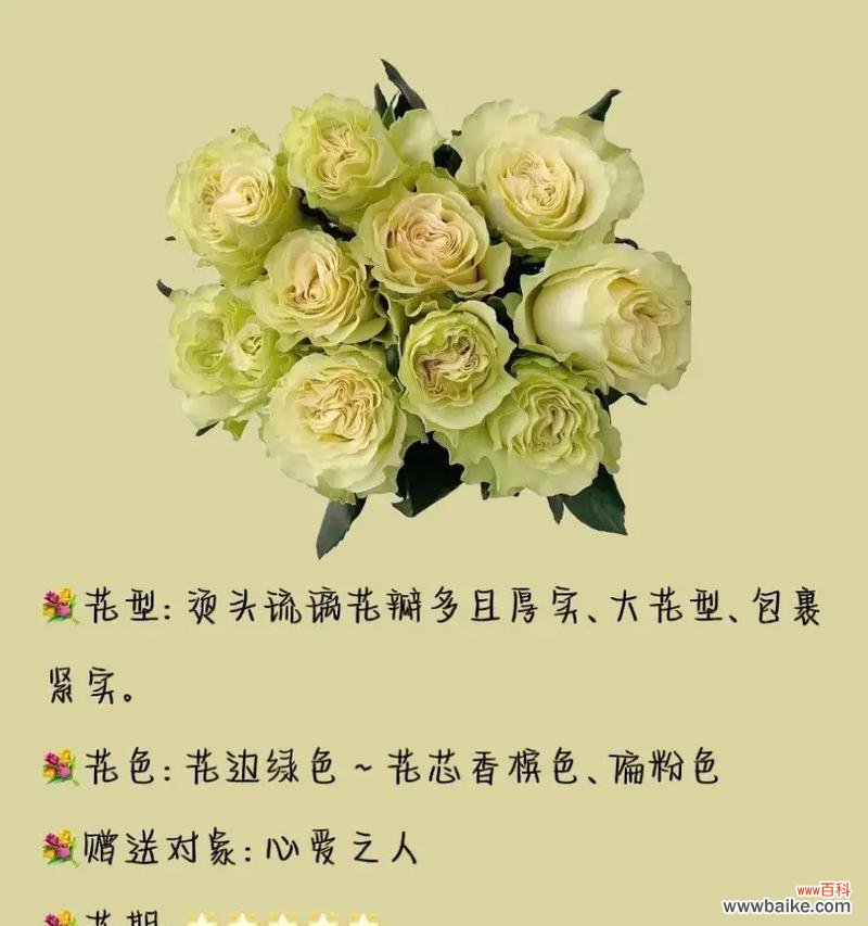 什么花才有花语？如何了解不同花卉的花语含义？