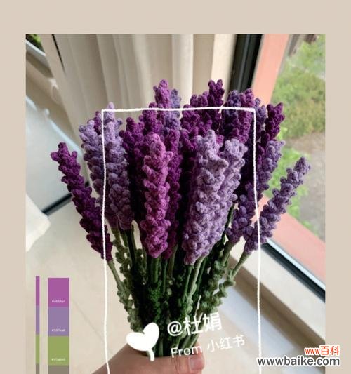 揭秘女生对薰衣草的情感依恋与内涵 薰衣草——女生心灵的守护者