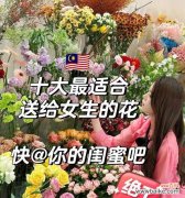 什么花象征庄严的爱？如何选择表达深沉爱意的花卉？