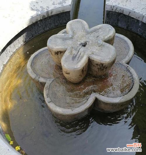 喷泉花型的寓意和象征是什么？如何理解其深层含义？