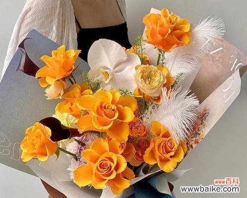 104朵花的寓意是什么意思？花语背后的含义有哪些？