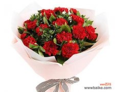 什么花寓意对妈妈好？如何选择表达爱意的花卉？