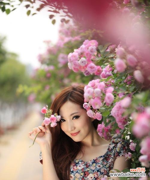 蔷薇花语中的橘色之美 橘色蔷薇