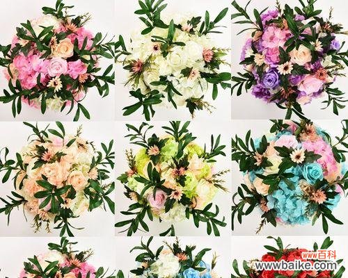 探寻橄榄花的内涵与传承 橄榄花的象征意义