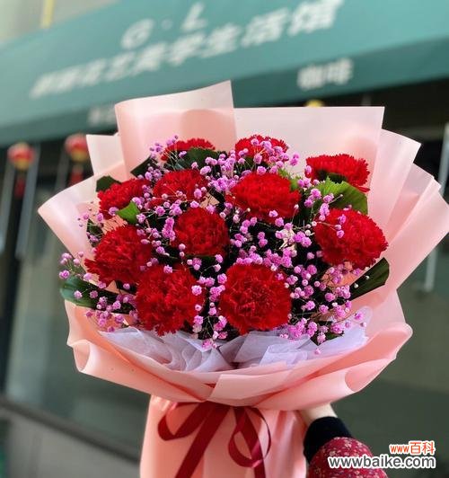 花语的传递和表达,康乃馨的情感意义 十朵康乃馨的花语之解读