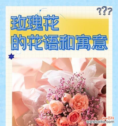 春日花卉的寓意象征有哪些?如何解读花的语言?