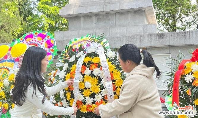 什么花象征了革命战士的精神?揭秘那些代表勇气与牺牲的花卉?