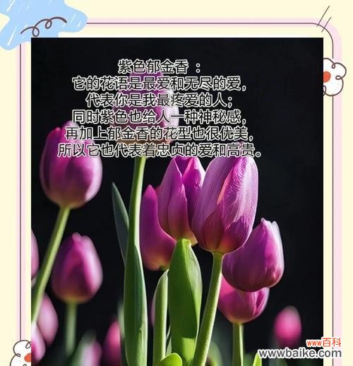 象征光的花是什么颜色的?揭秘花语中的光之色彩