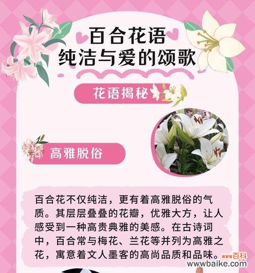 什么花象征着清洁高雅的意思？如何用花卉表达纯洁与优雅？