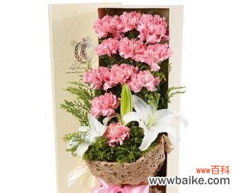 解析11朵玫瑰的深意 玫瑰花的浪漫花语