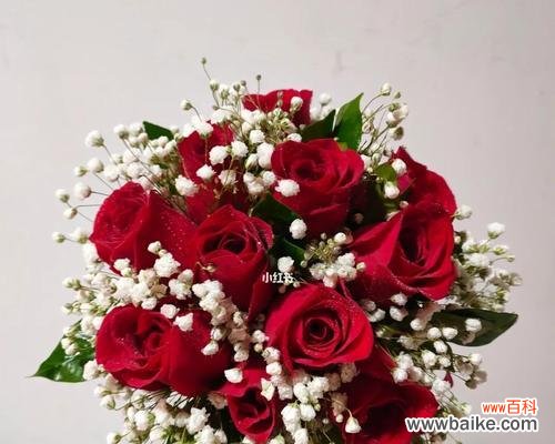 11朵红玫瑰的寓意与表达方式 深情告白,红玫瑰的花语