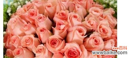 浪漫、爱情、承诺、祝福 14朵玫瑰代表的花语