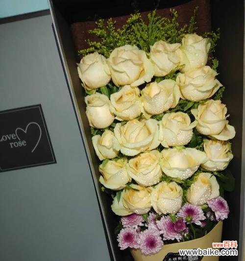 浪漫花束传递的爱意 19朵粉玫瑰花的花语解析