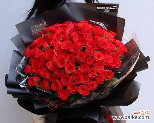 洋甘菊 洋甘菊的花语和寓意