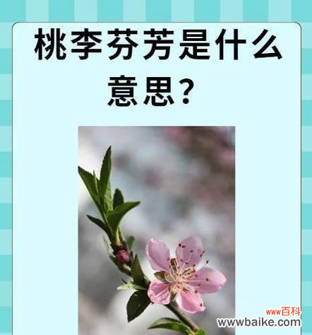 奉花的寓意是什么意思？它象征着什么？