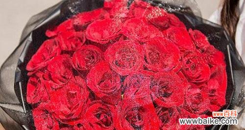 浪漫之情，热情之花 20朵红玫瑰的花语及寓意