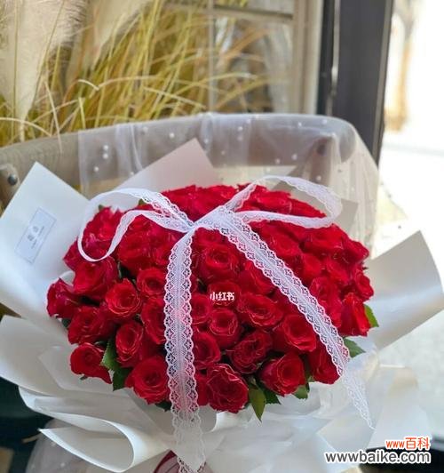 浪漫之情，热情之花 20朵红玫瑰的花语及寓意