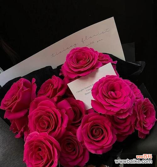 浪漫之语与感情的诠释 玫瑰花的30种花语