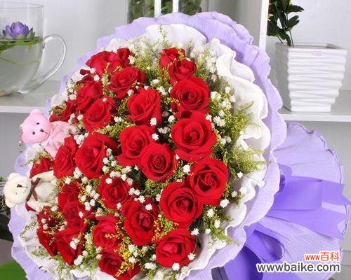 33朵红玫瑰花语之爱的宣言 红玫瑰花语的浪漫传说