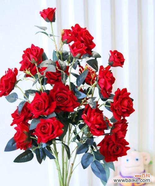 用42朵玫瑰花传递无尽爱意, 42朵玫瑰花的花语之意义深远