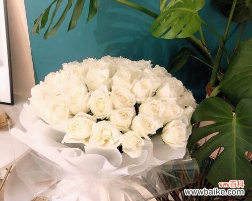 一束玫瑰传递的情感与祝福 52朵玫瑰所代表的花语之意义深远