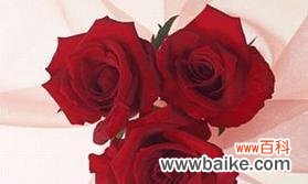 浓情蜜意,心意绵绵 49朵玫瑰花的花语之美丽爱情