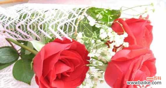 红玫瑰的浪漫与热情 玫瑰花语之87朵玫瑰代表的意义