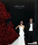 黑色誓言花语代表什么？如何正确解读黑色誓言的含义？