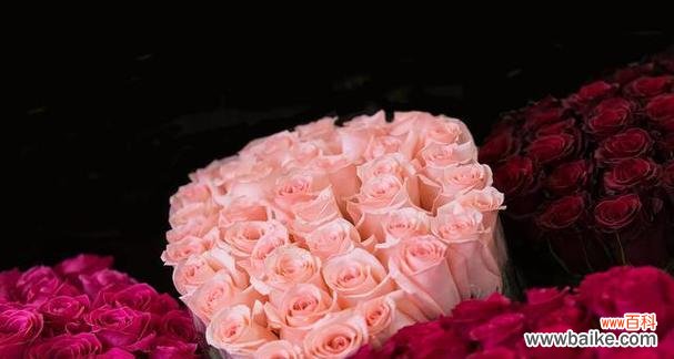 以玫瑰数量999的含义解读玫瑰花语 999朵玫瑰的花语与寓意