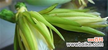 探秘霸王花开花时间与寓意 霸王花盛放的春天