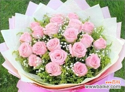 探索郁金香的花语和象征意义 郁金香花语与寓意