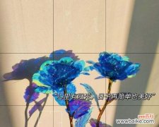 蓝色星空花代表了什么含义？