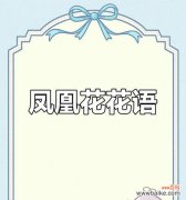 离别时开的花代表什么含义？哪些花象征着离别？