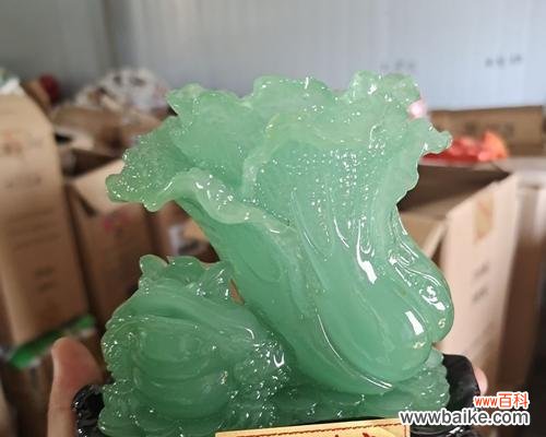 揭秘白菜在风水中的寓意与功效 白菜的象征与风水之道