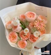 探寻朱丽叶玫瑰花语的浪漫与哲学 朱丽叶玫瑰花语的深刻寓意