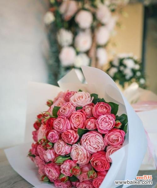 用花表白时,哪些花的寓意最为合适?表白用花的寓意有哪些?