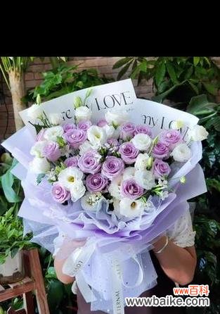 用花表白时,哪些花的寓意最为合适?表白用花的寓意有哪些?