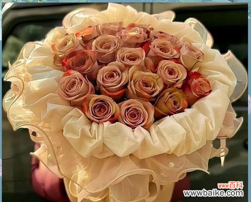 用花表白时,哪些花的寓意最为合适?表白用花的寓意有哪些?