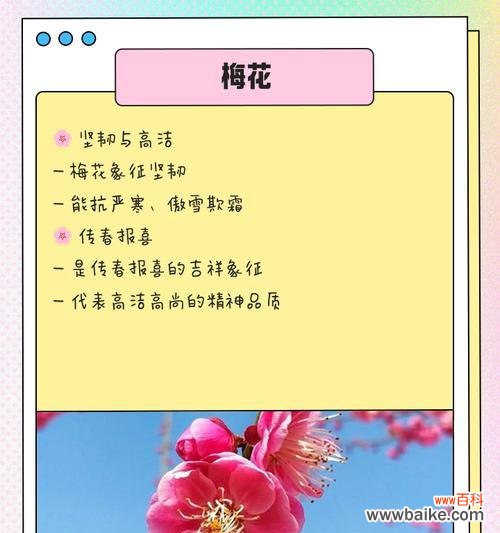 不同花的寓意是什么含义?如何探索花卉的独特象征?