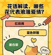 如何了解花的花语？有哪些常见花语？
